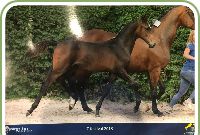 O-Govanni de Poteau Z #1